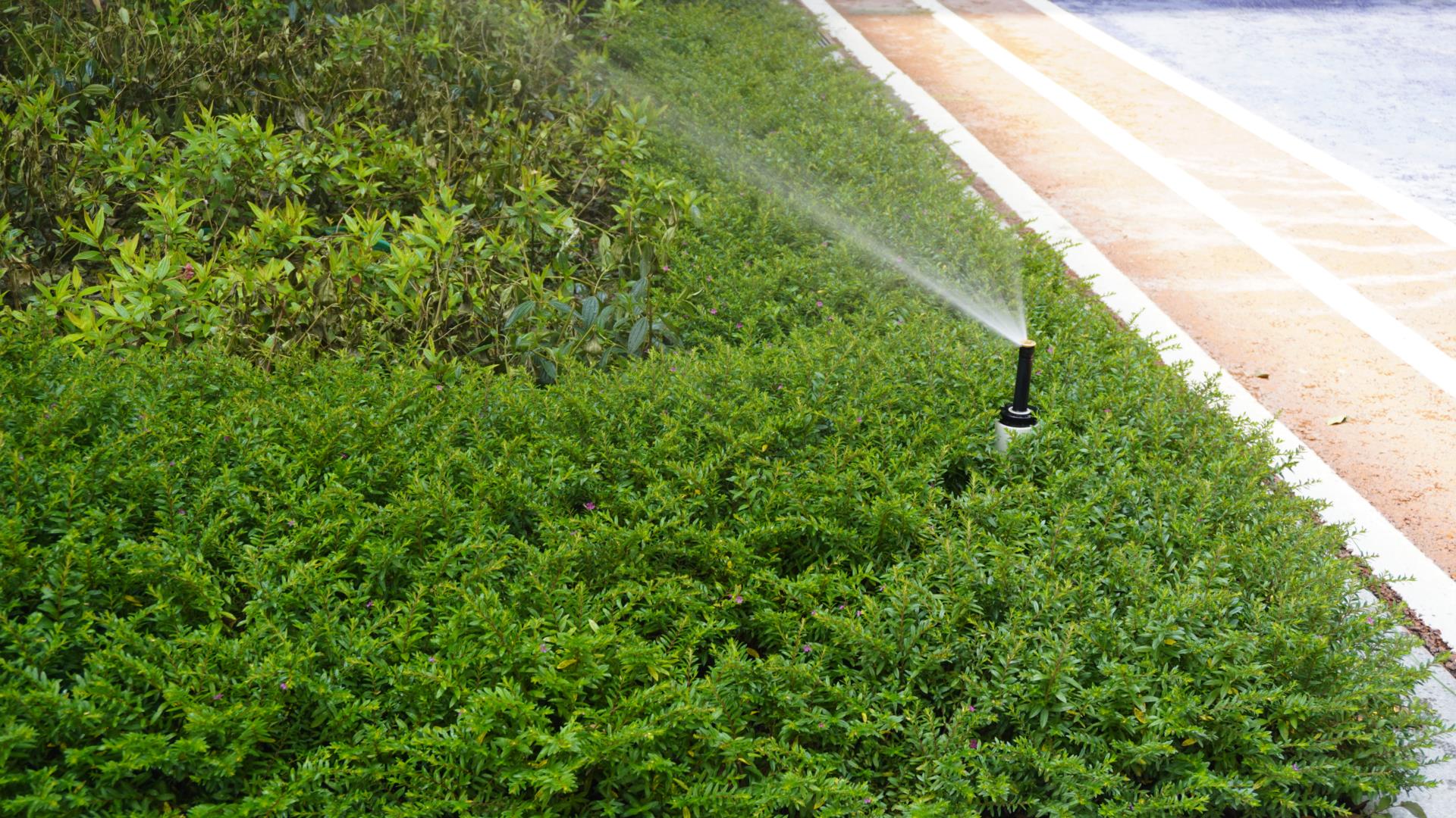 模塊雨水回用系統(tǒng)與機(jī)房雨水回用系統(tǒng)的特點